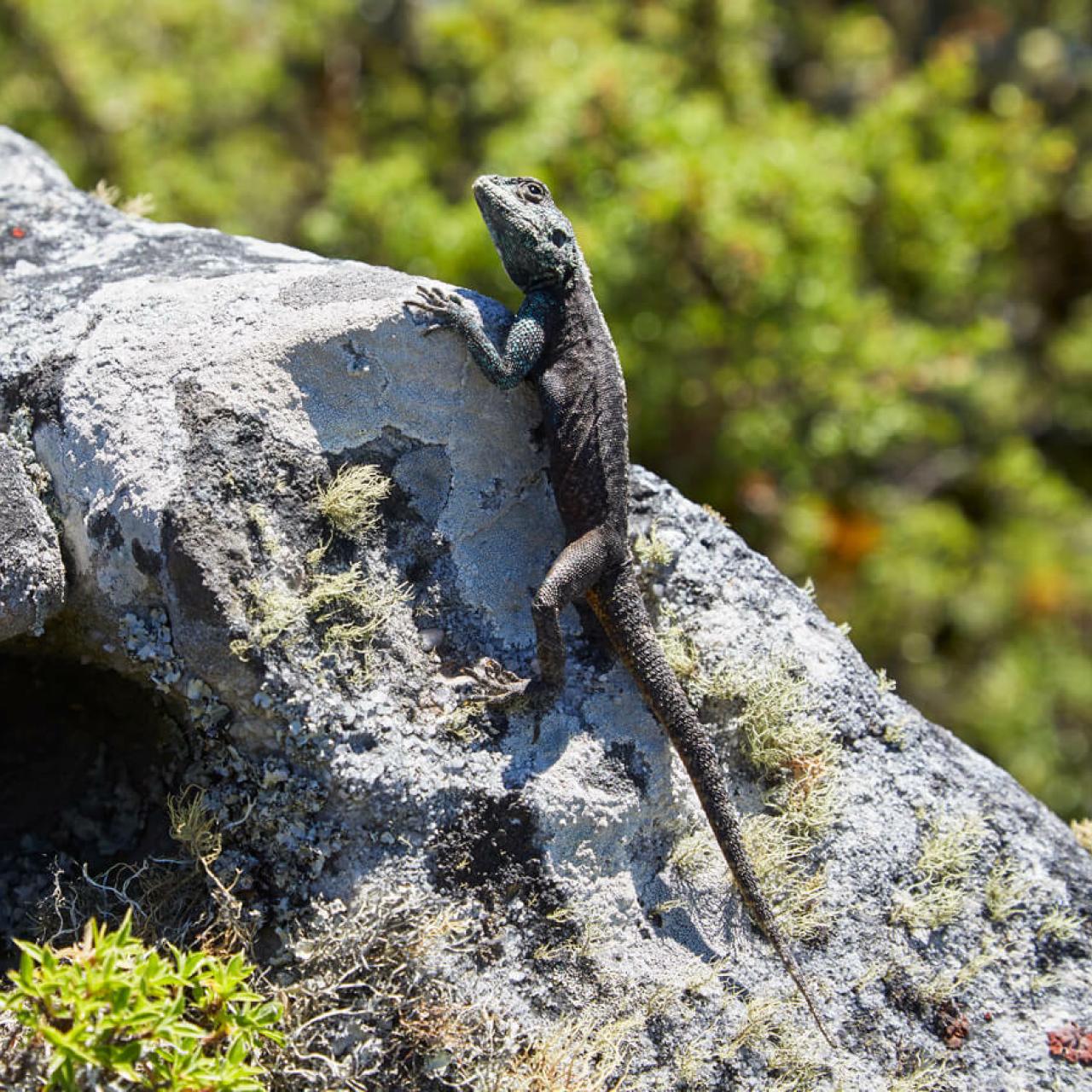 Class in the Clouds worksheets