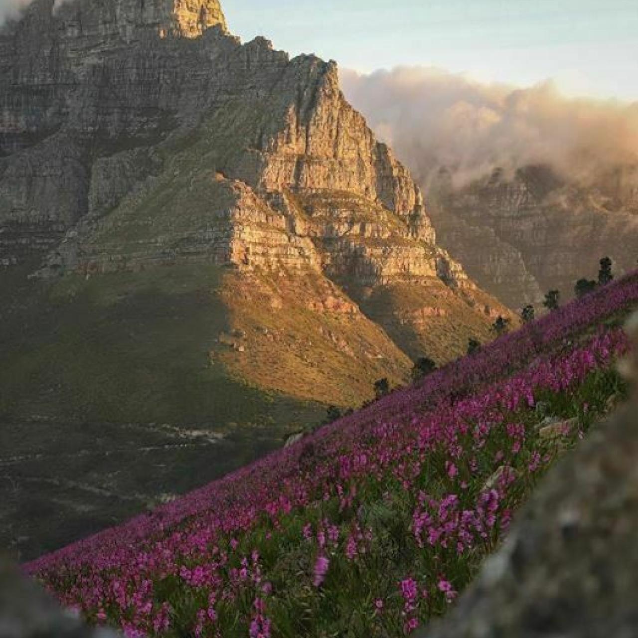 22 November 2019 garyisblack