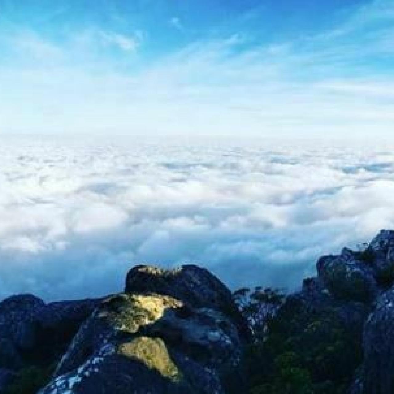 Abseilafrica za 31 May 2019