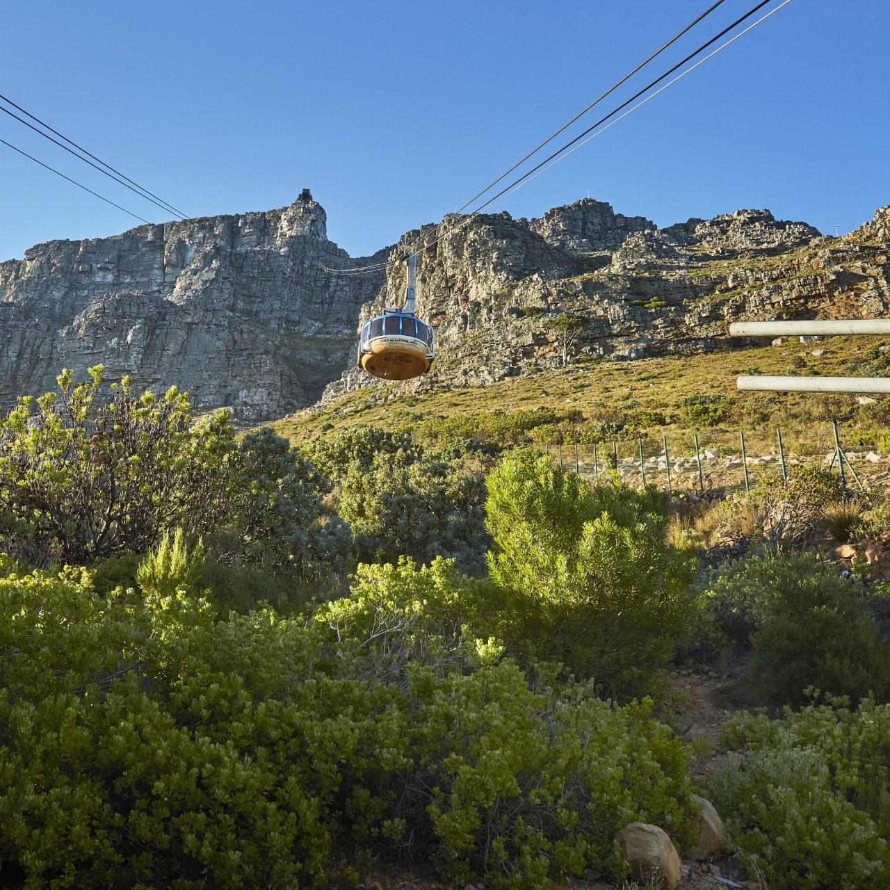 Thumbnail 5 A9 A7437