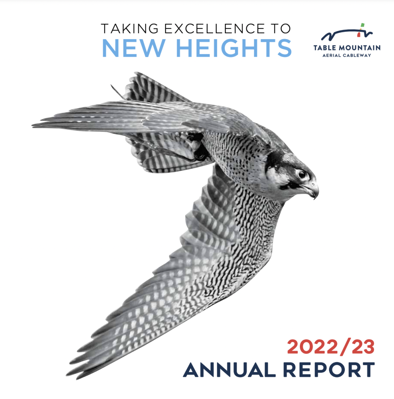 Screenshot 2023 10 25 at 11 55 41