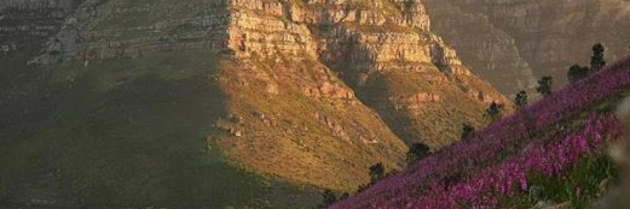 22 November 2019 garyisblack