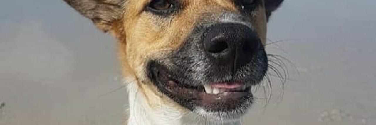 Davidmusikanth 22 February 2019