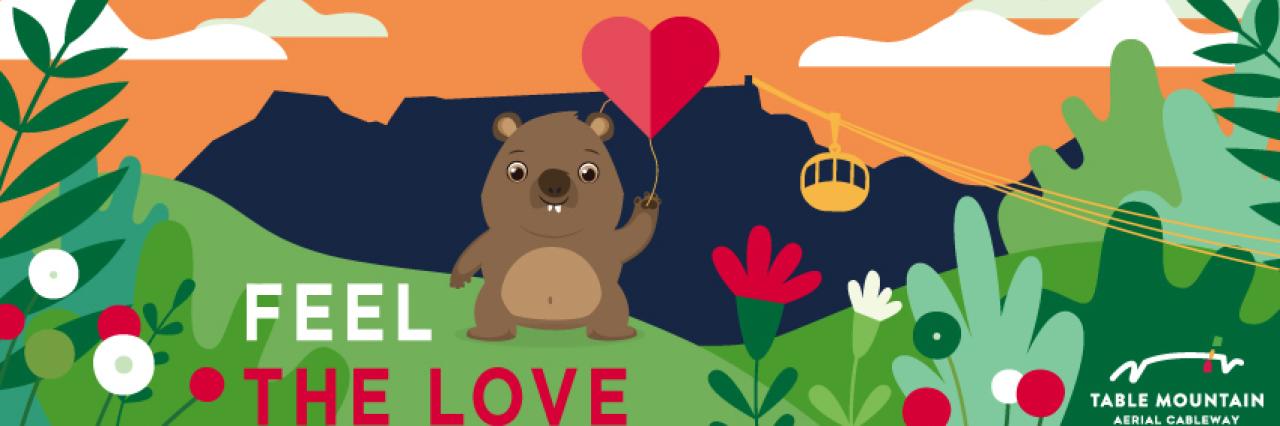 24634 TM Vday dassie header