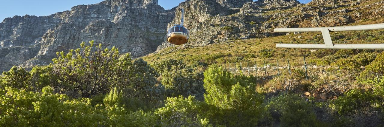 Thumbnail 5 A9 A7437