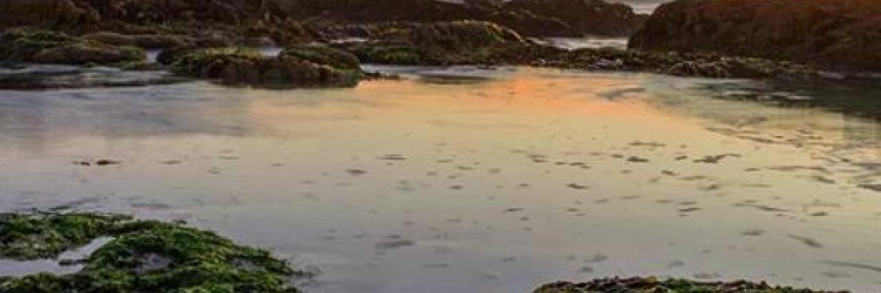 Zunaid baba 3 May 2019