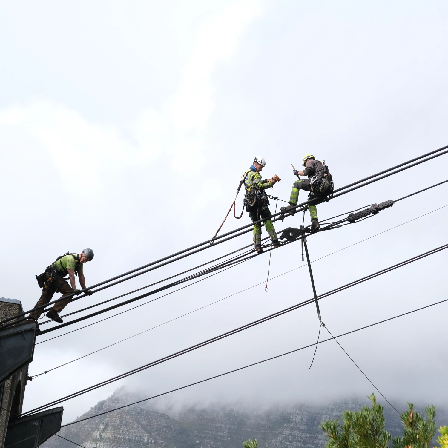 Annual Maintenance 2025
