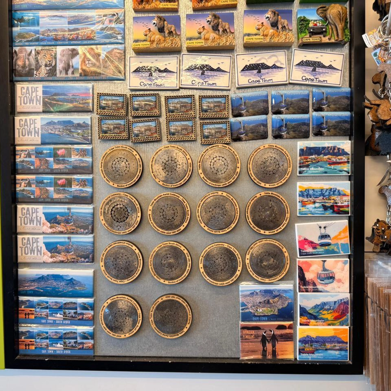 TMACC Fridge Magnet