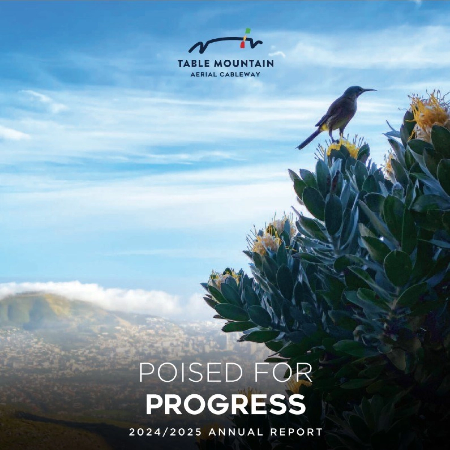 Poised For Progress