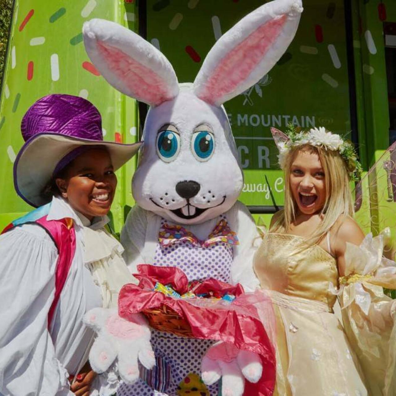 5 A9 A2731 OPT 1030 687 70 s c1 c t 7e26377cbc4928f208a3176147e0fc5f