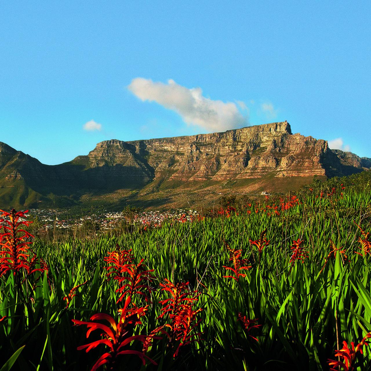 Table Mountain New7 Wonders OI Master Hi Res