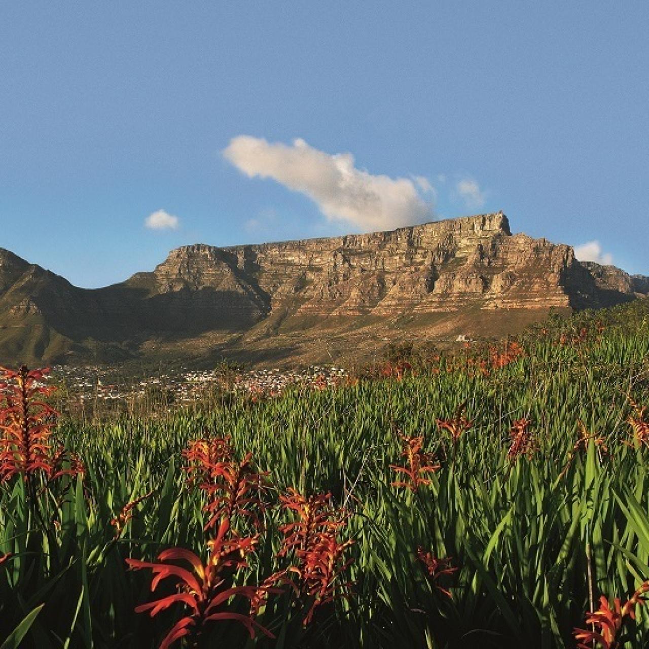 Table Mountain view from Signal Hill Copy