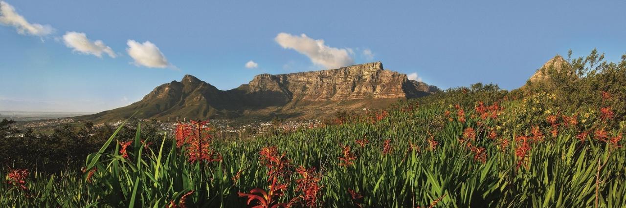 Table Mountain view from Signal Hill Copy