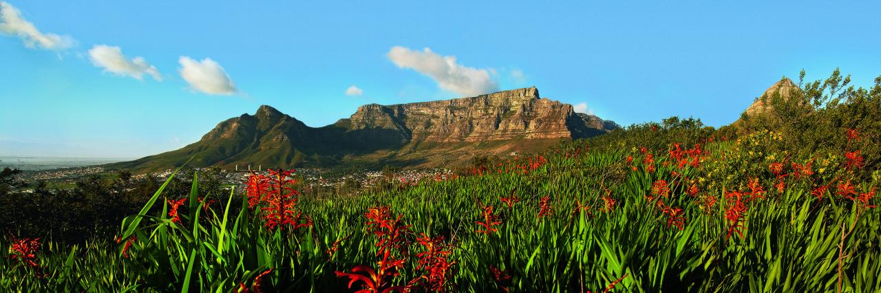 Table Mountain New7 Wonders OI Master Hi Res