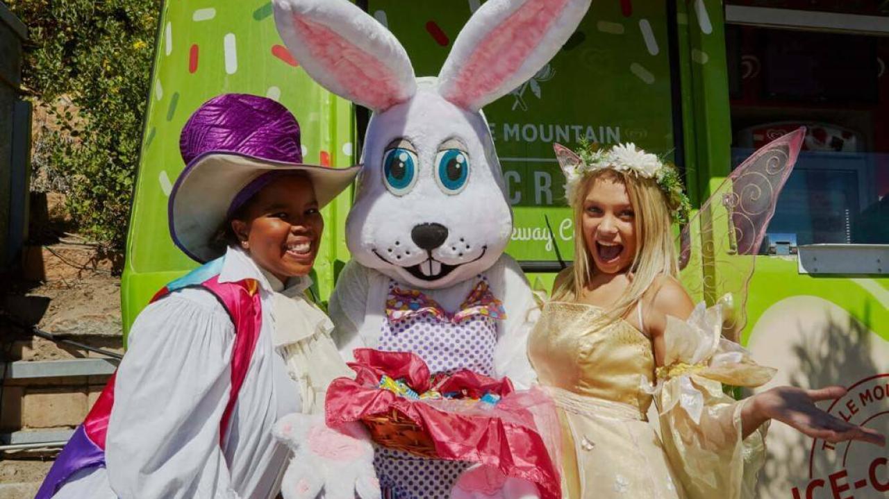 5 A9 A2731 OPT 1030 687 70 s c1 c t 7e26377cbc4928f208a3176147e0fc5f