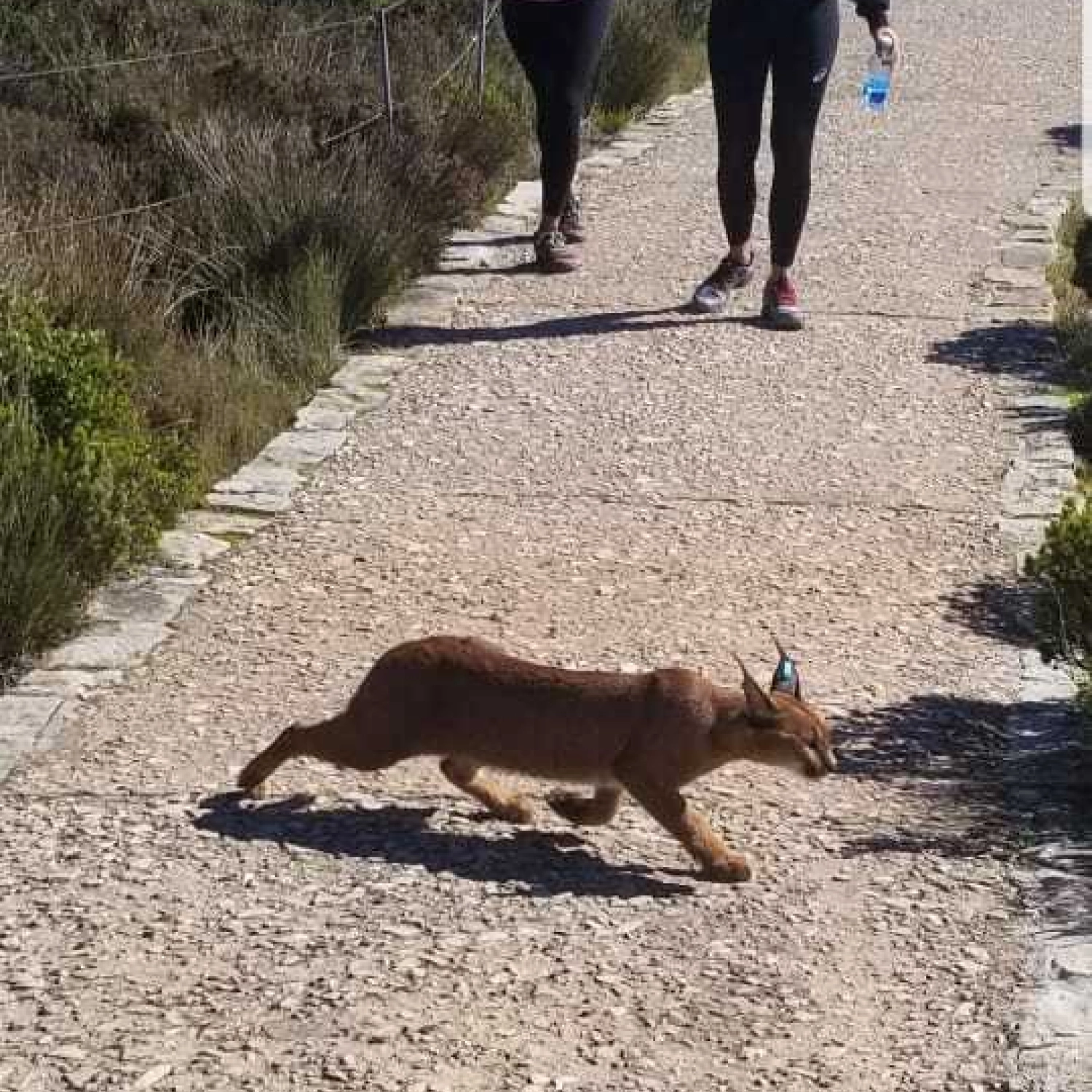 IMG 20190817 WA0004