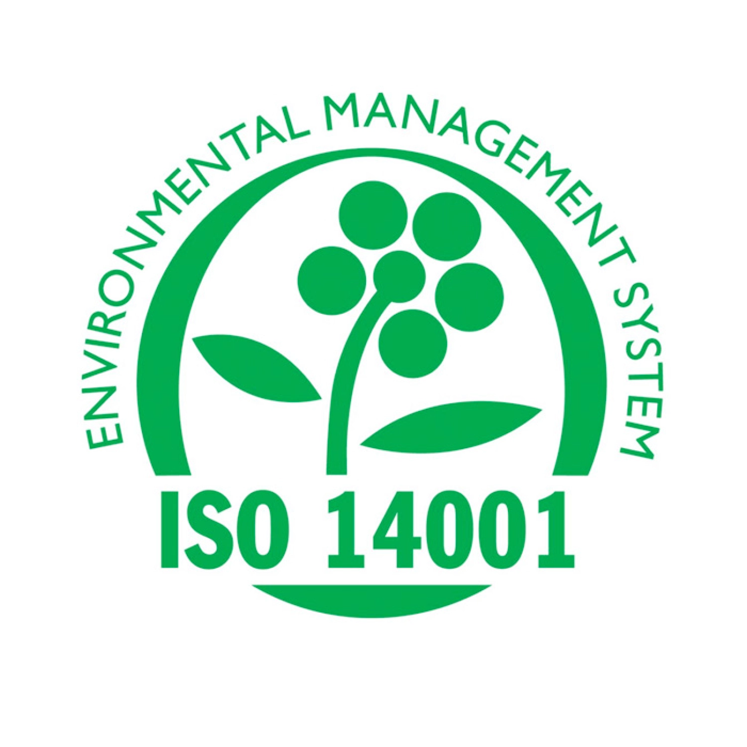 4 ISO news jpg