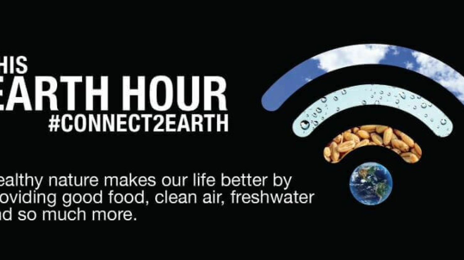 Earth Hour 2019 OPT