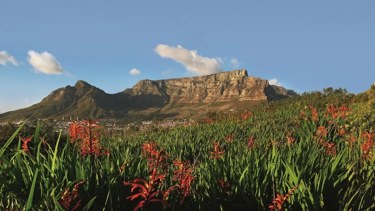 Table Mountain view from Signal Hill Copy