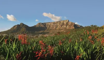 Table Mountain view from Signal Hill Copy
