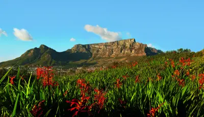 Table Mountain New7 Wonders OI Master Hi Res