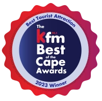 KFM BEST OF THE CAPE CATAGORY STICKERS 08